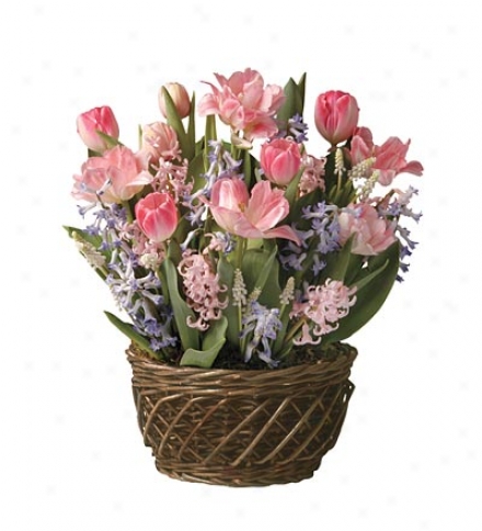 May Flower Bulb Garden6 Tulips, 2 Hyacinths And 8 Muscariships May 1st Through June 30th