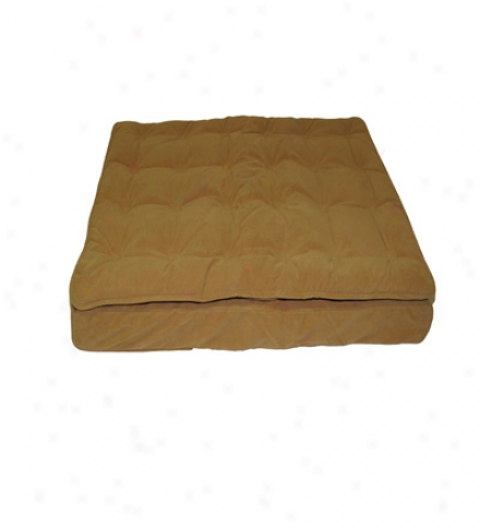 Medium Pillow Top Mattress Pet Bde