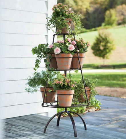 Metal Tree Shapde Plant Stand With Terra Cotta Pots