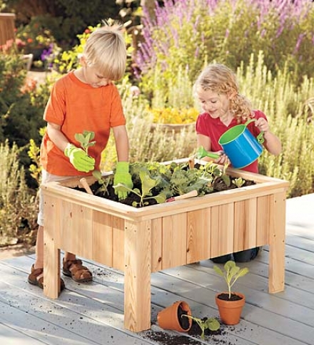 My First Garden Child-sized Cypress Planter