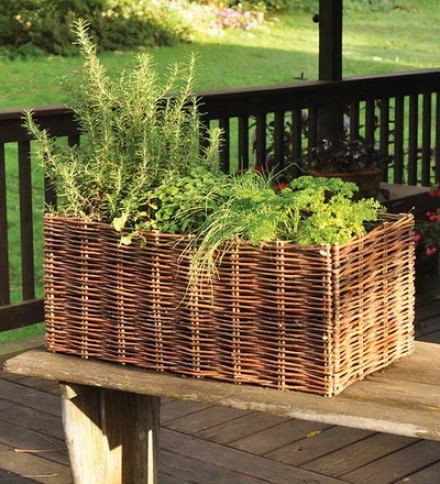 Natural Wpven Willow Herb Planter With Liner