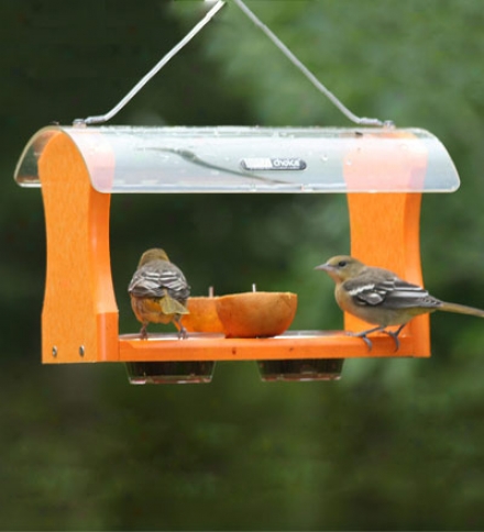 Oriole Feeder