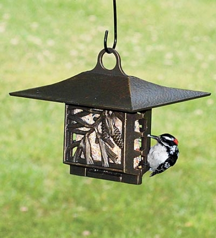 Pine Cone Suet Feeder