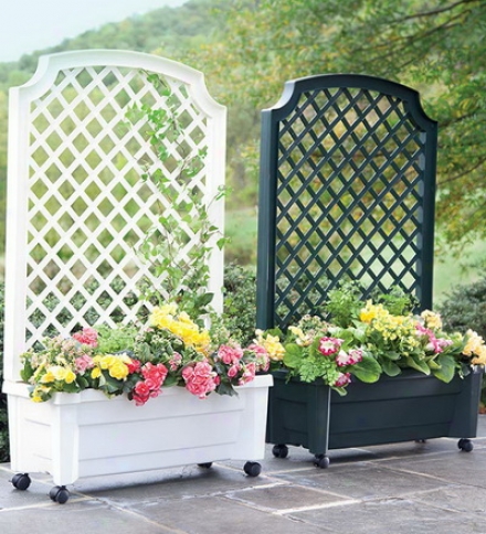 Planter Witth Trellis And Self-watering Reservoirbuy 2 Or More At $99.95 Each