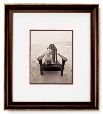 "life's A Beach" Framed Print