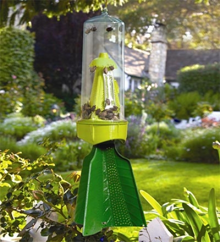 Rescue!&#174; American-made Odor-free Reusable Indoor/outdoor Stink Bug Trap 7-week Refills