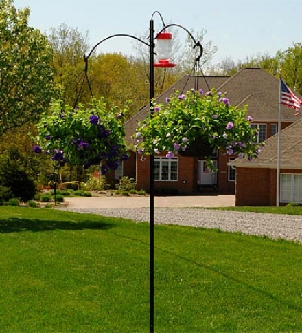 Rust-resistant Powder-coated Steel Acadia Pole Plant Stand