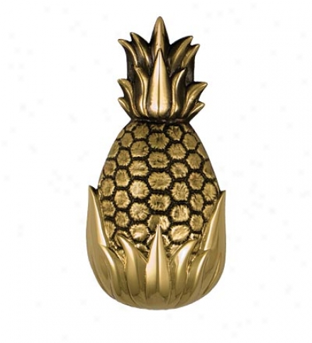 Sand-cast Pineapple Passage Knocker By Michael Healy