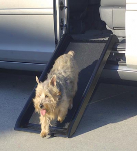 Short Dog Ramp39-1/2"l X 20"w X 5"h