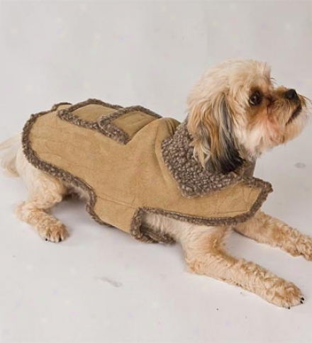 Small Faux Suede Dog Jacket Through  Berber Fleece Lining