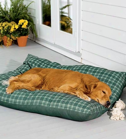 Small Weatherproof Dog Bed