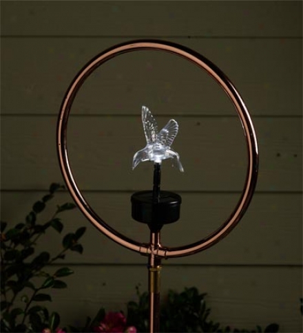 Solar Hummingbird Yard And Garden Spinning Sprinkler