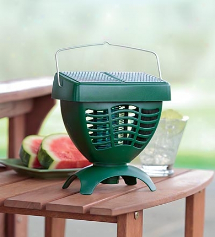 Solar-powered Mosquito Trap