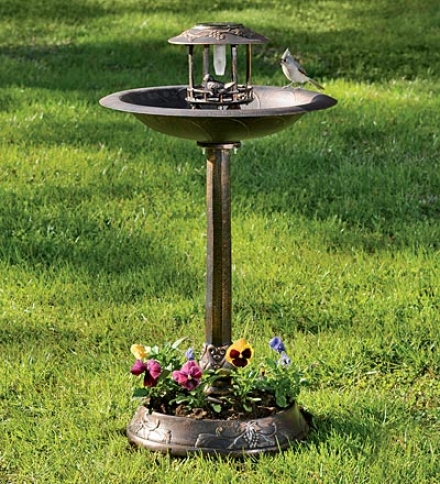 Solar-powered Vineyard Birdbath Upon Illustration And Base Planter