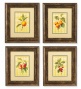 Fruit Prints, Set Of 4