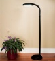 Natural Spectrum&#174; Daylight Floor Lamp