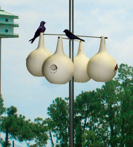 Two-piece Purple Martin Gourds, Eight-pack