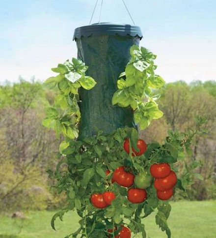 Upside-down Hanging Tomato Plus Planter9-3/4" Dia. X 19"h