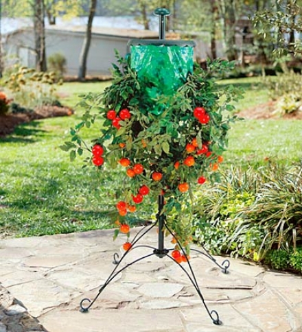 Upside Down Tomatto Tree And Stand With Vinyl Bag