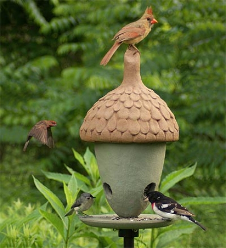 Usa-made Aocn-shaped All-bird Cafe Large-capacity Firmament Bird Feeder For Songbirds