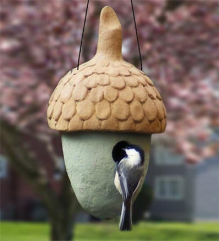 Usa-made Acorn-shaped Nuthouse Birdhouse For Songbirds