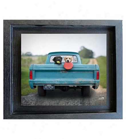 Usa-made Fetch Framed Mini Print By Ron Schmidt