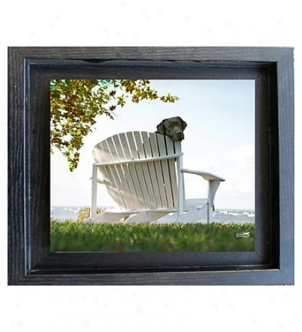 Usa-made Lolly Framed Mini Print By Ron Schmidt