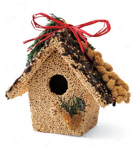 White Birdseed-covered Wooden Birdhouse