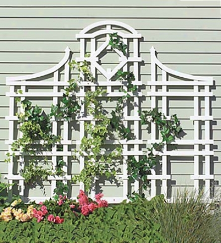 White Cedar Trellis??