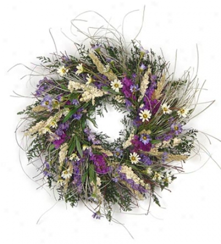 Wild Daisy Wreath, 16" Dia.