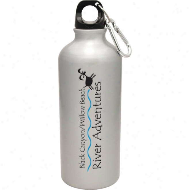 20 Oz Silver Aluminum Venice Bottle