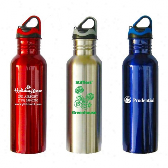 24oz Stainless Bottle