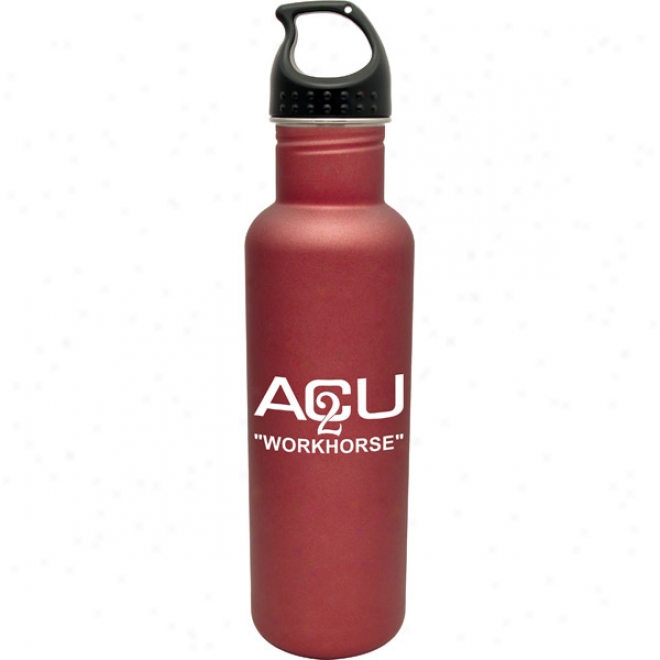 25 Oz. Red Stainless Steel Surfer Water Bottle