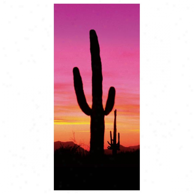 Cactus Sunset - Baby Bend Packaging