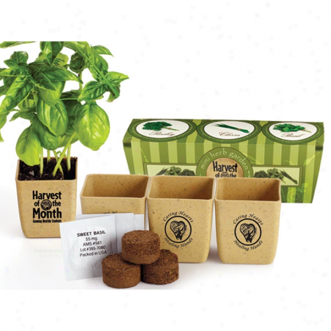 Herb Garden Set