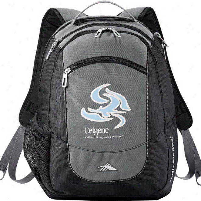 High Sierra Fly-by Compu-backpack