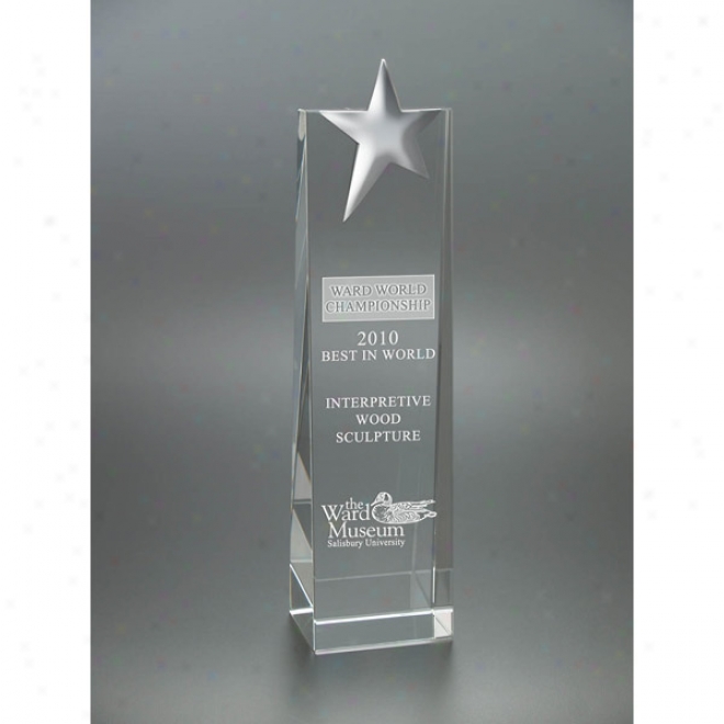 Medium Luminary Award