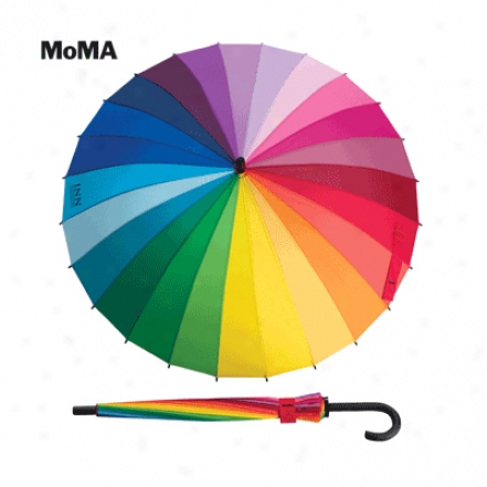 Moma Color Image Umbrella Stick
