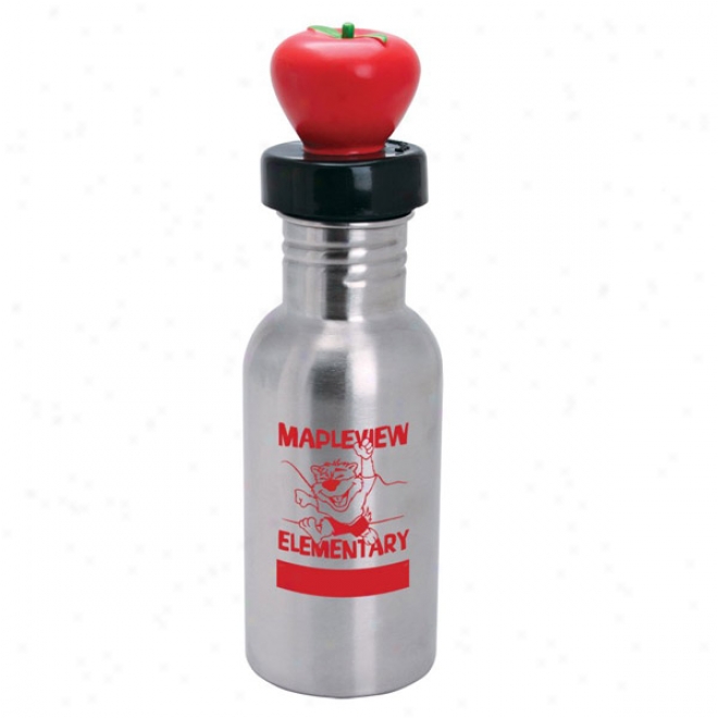 Nichebottle 17 Oz. Stainless Bottle With Apple Lid