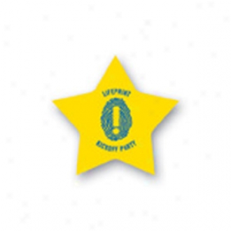 Poly Lapel Pin - Star