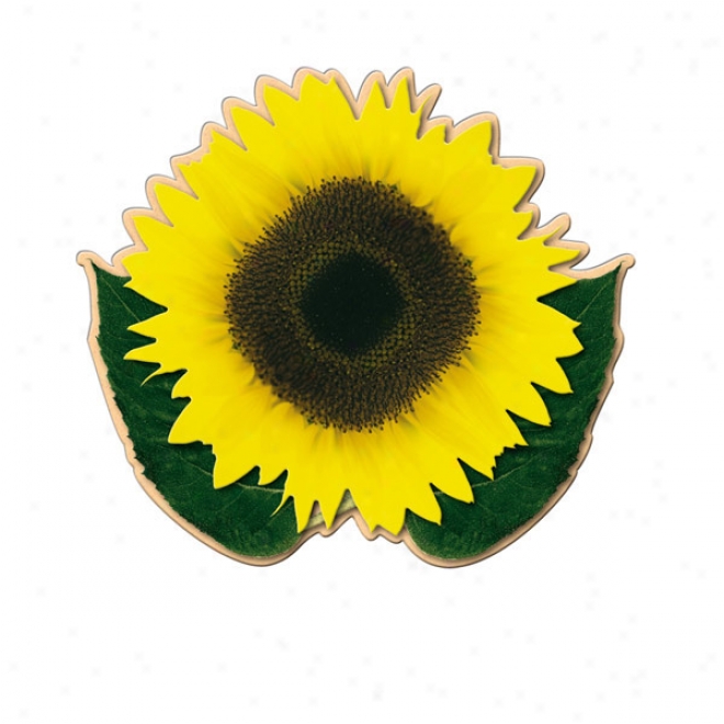 Sunflower Fan Without A Stick