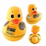 Waterproof Am Fm Duck Radio With Water Thermometer