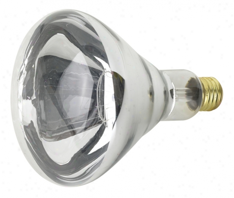 250 Watt R40 Heat Lamp Light Bulb (05442)