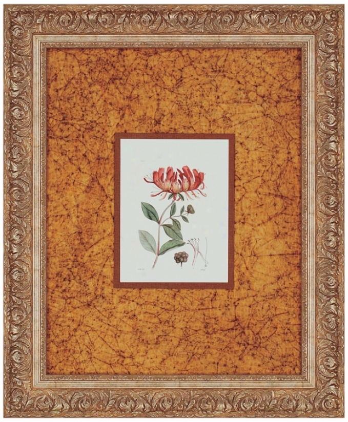 Antique Floral Lamina Ii Print Wall Art (n8057)