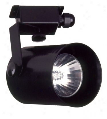 Black Finish Low Voltage Adj8stable Landscape Spot Light (67438)