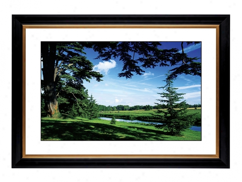 Blue Vista Giclee 41 3/8" Wide Wall Art (54284-80384)