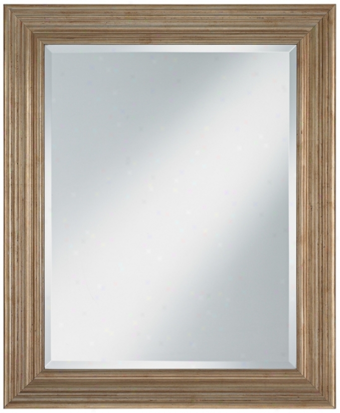 Burnished Silver Wood Framed 34" High Beveled Wall Mirror (u7495)