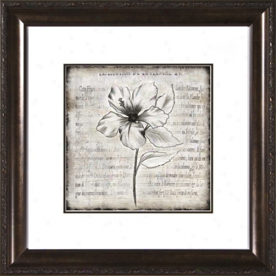 Charcoal Impressions Ii Under Glass 19 1/2" Square Wall Art (h1916)