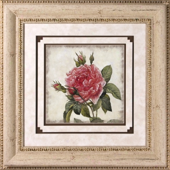Agree Up Rose I Print Subjected to Glass 22" Square Wall Art (h1925)