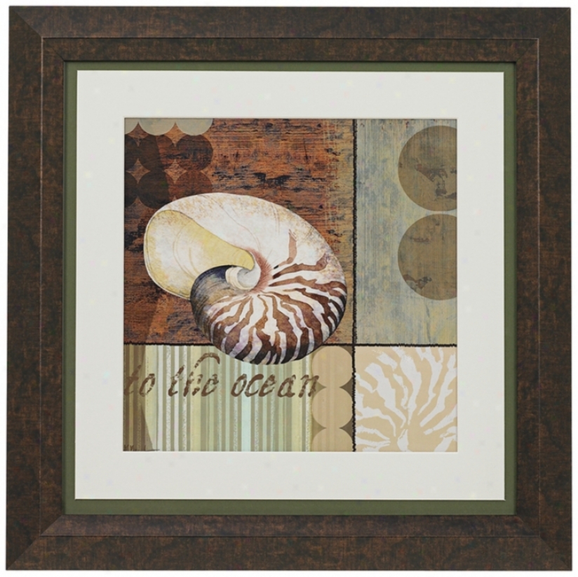 Contemporary Shell Ii Framed 19" Square Wall Art (n3616)